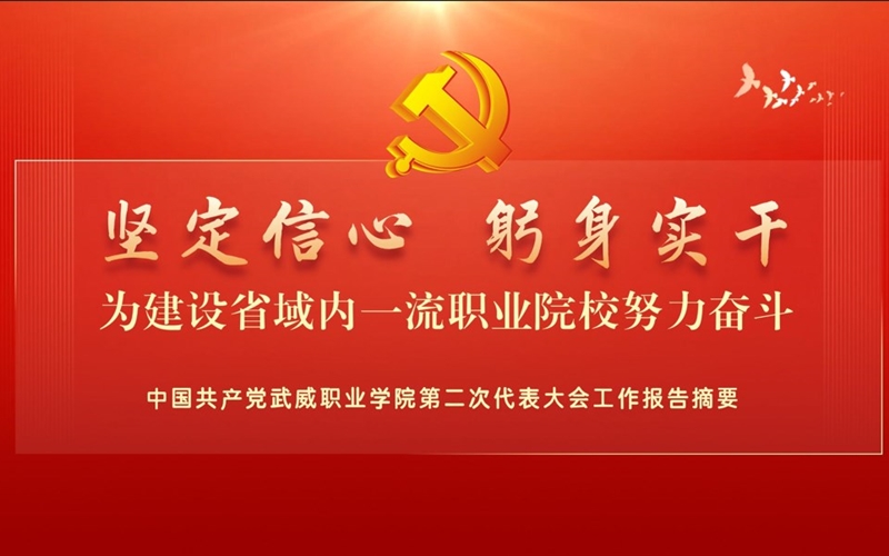 【一图速览】中国共产党91果冻制片厂藩甜甜第二次代表大会党委工作报告